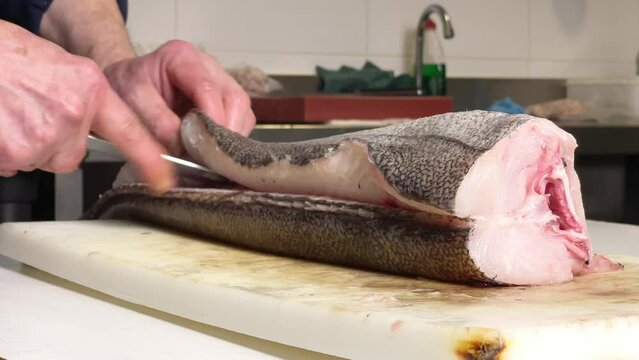 Frozen Hake Fish 1.2kg