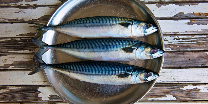 Frozen Mackerel Fish (5 pieces)