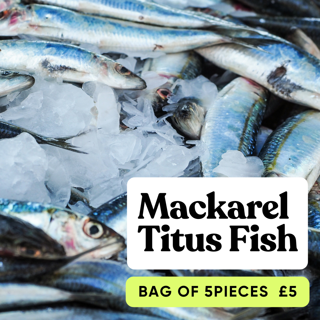 Frozen Mackerel Fish (5 pieces)