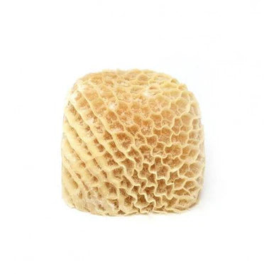 Beef Honey Comb Tripe (Shaki) / 1 kg